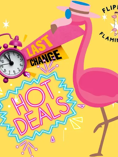 Last Chance Deals Deep Price Cuts