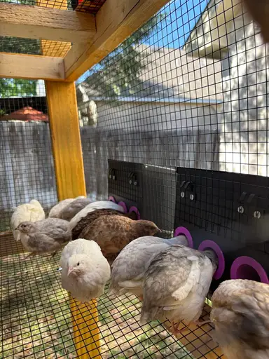 Please Keep Me Company While I Pack🪴🪴🪴🪴🪴🪴🪴