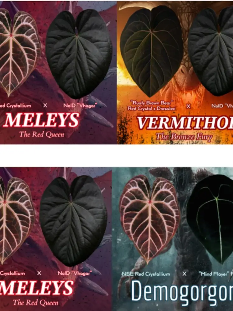 Seedlings And Shitttt