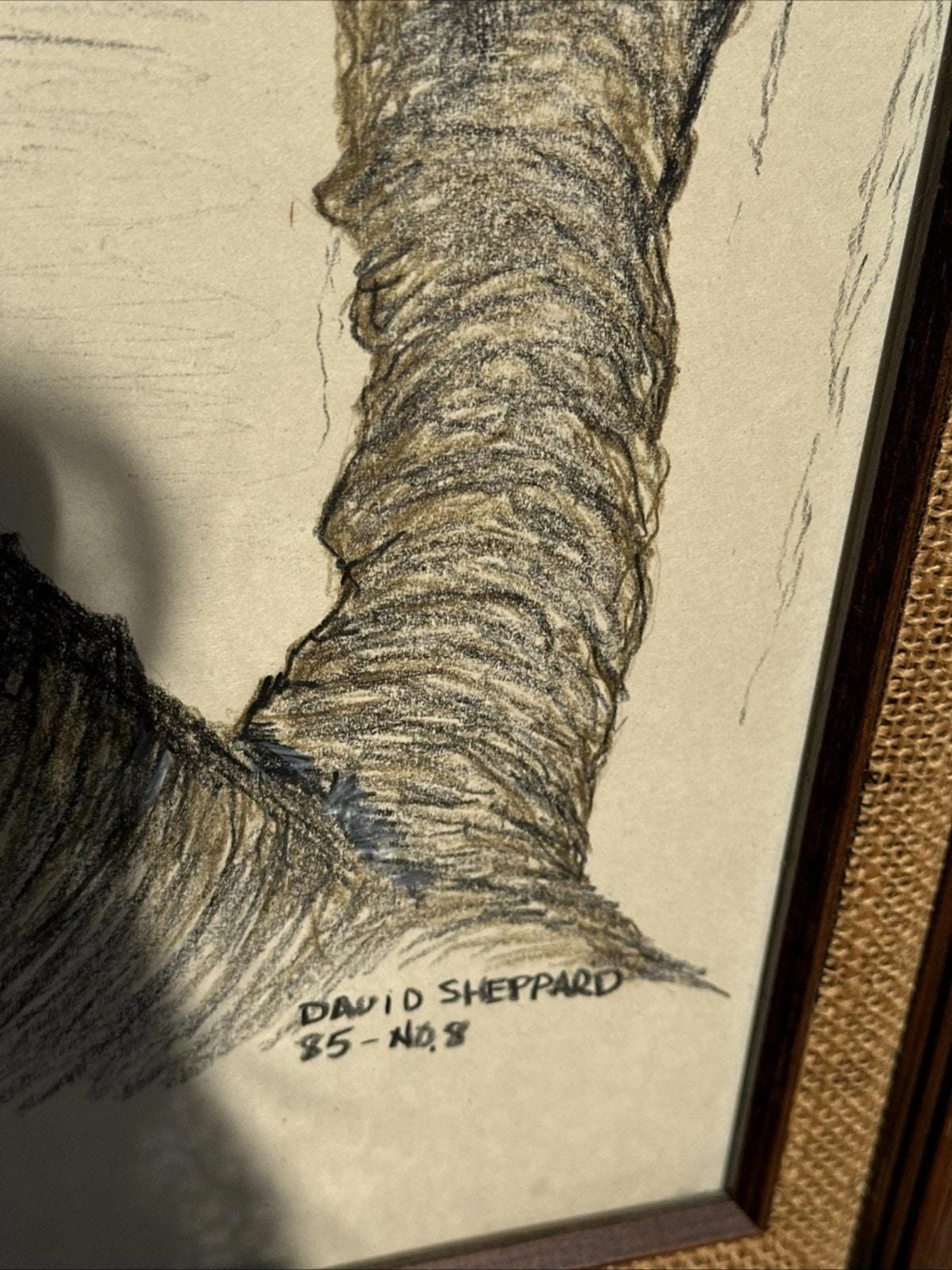 Image 4 of 8
