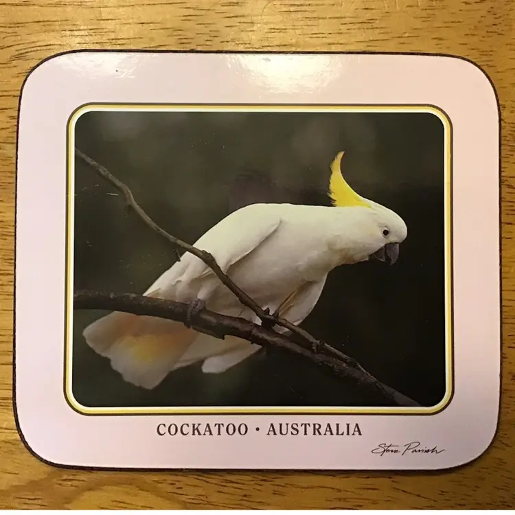 5 Australia Bird Coasters Cork Back