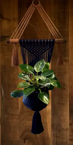 Handmade Macrame Plant Hanger - Wall Mounted