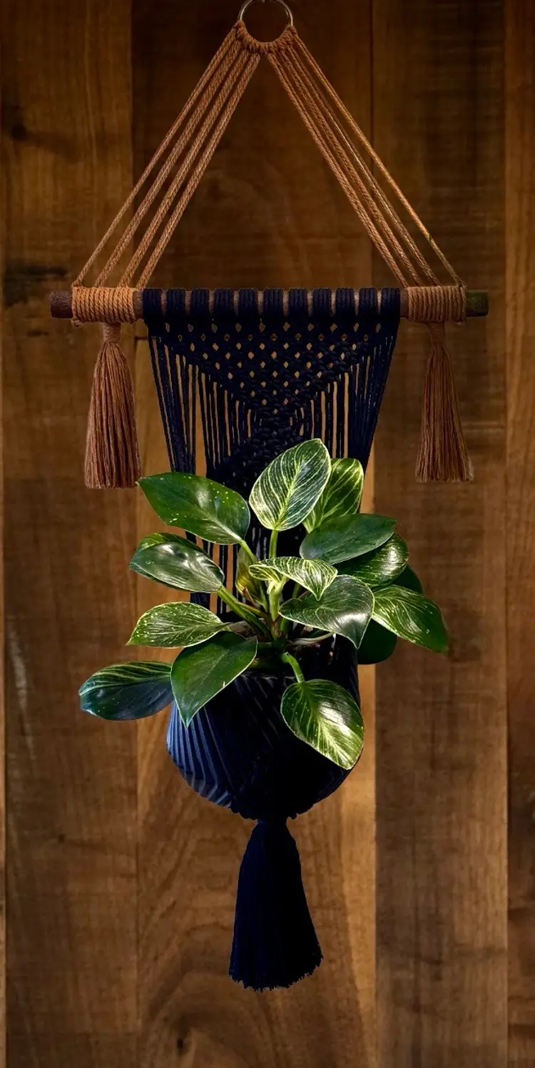 Handmade Macrame Plant Hanger - Wall Mounted
