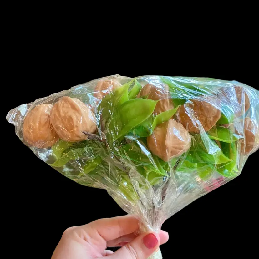 NOS Vintage Plastic Walnut Picks For Crafting