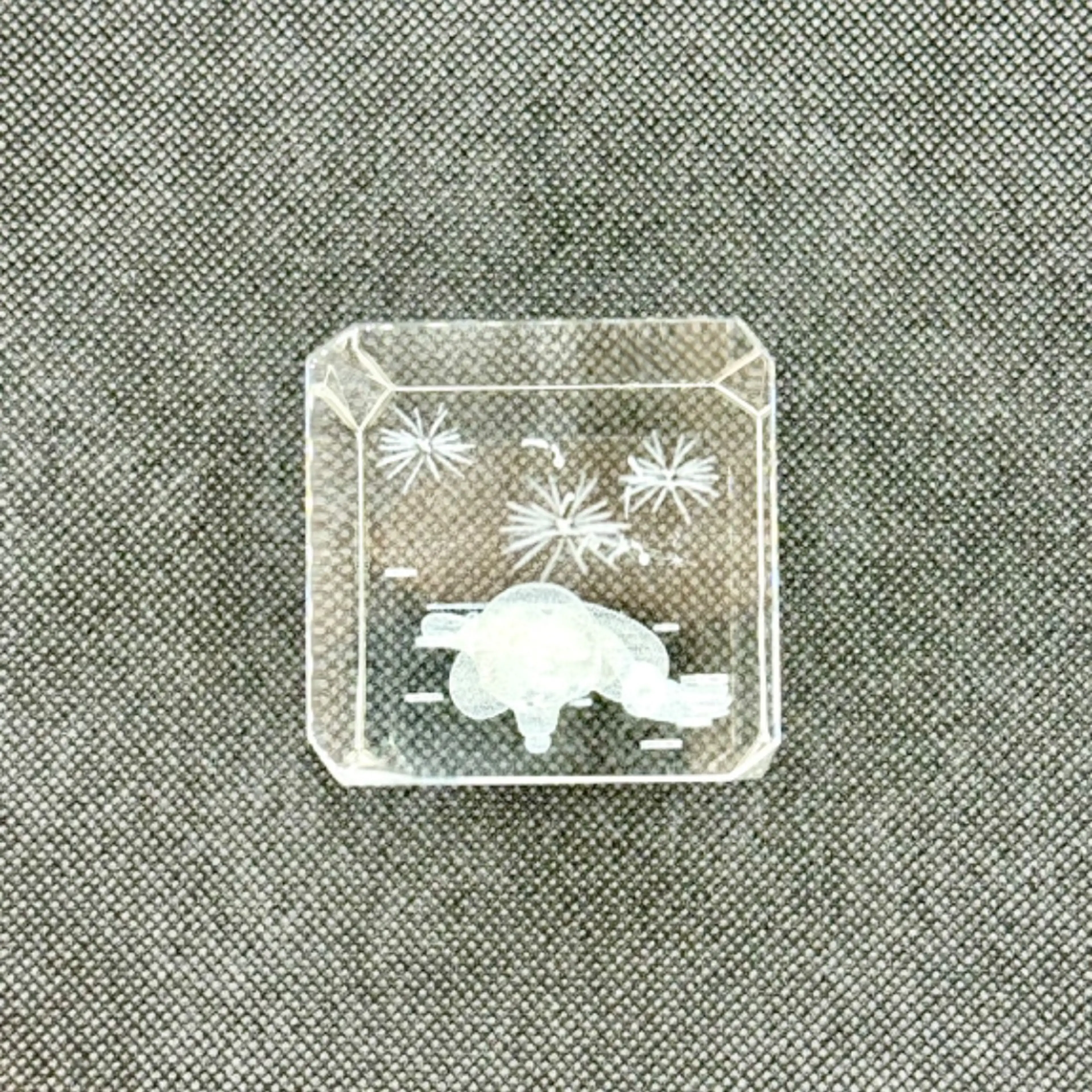 Image 5 of 6