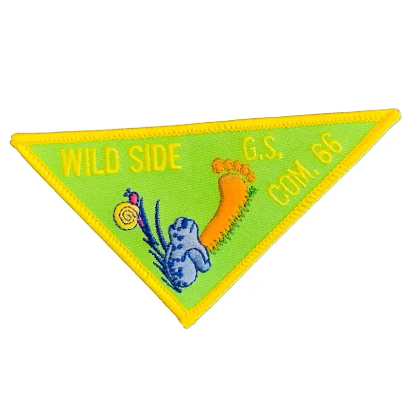 Vintage Scouting Fun Patch : Wild Side GS Com. 66