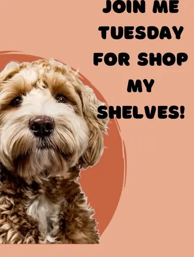 Tuesday Shop My Shelves! 🐩 