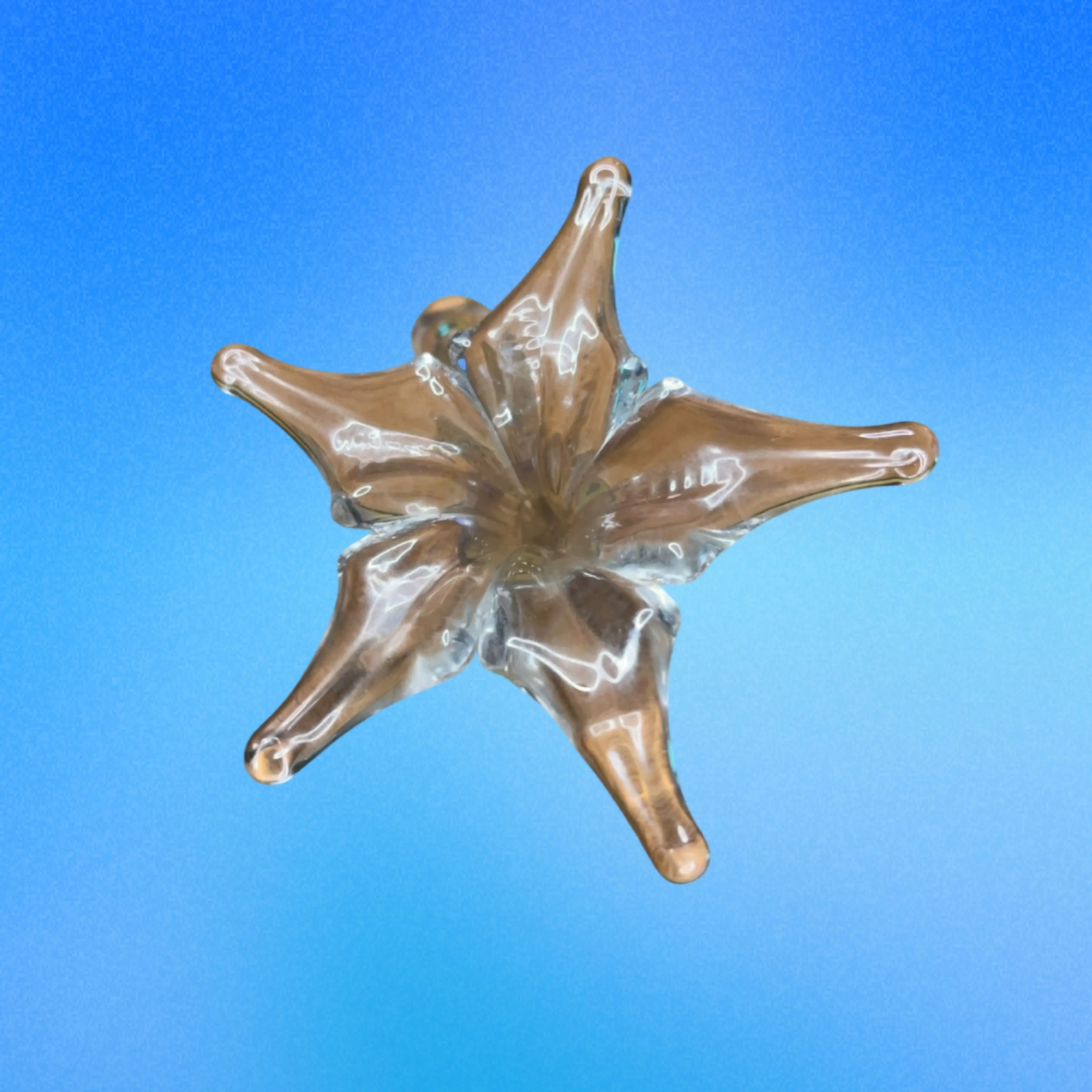 Image 4 of 5