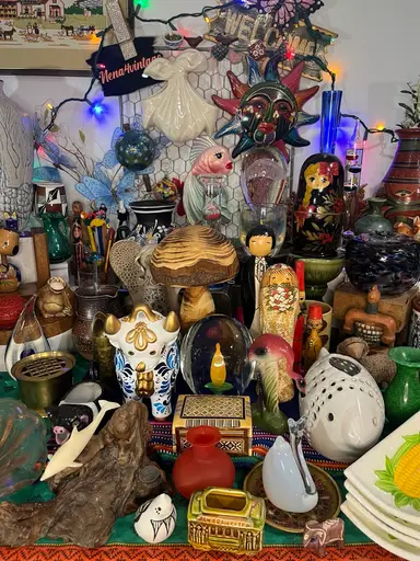 ✨Scan My Shelves🌸New Items!✨