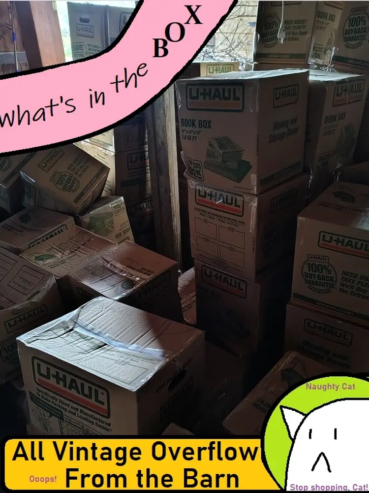 Mystery Boxes From My Barn: Treasure or Tragedy?