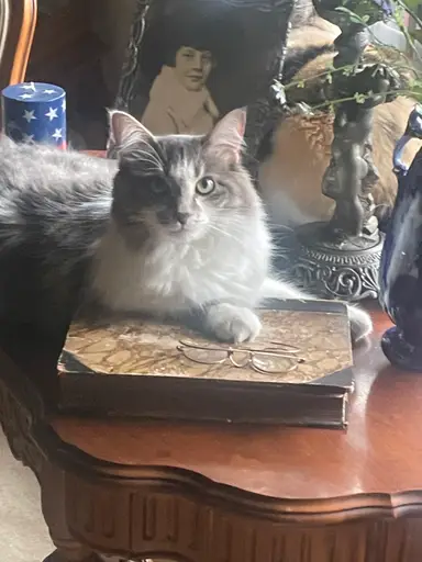 TWO SISTERS (Susan & Cheryl)