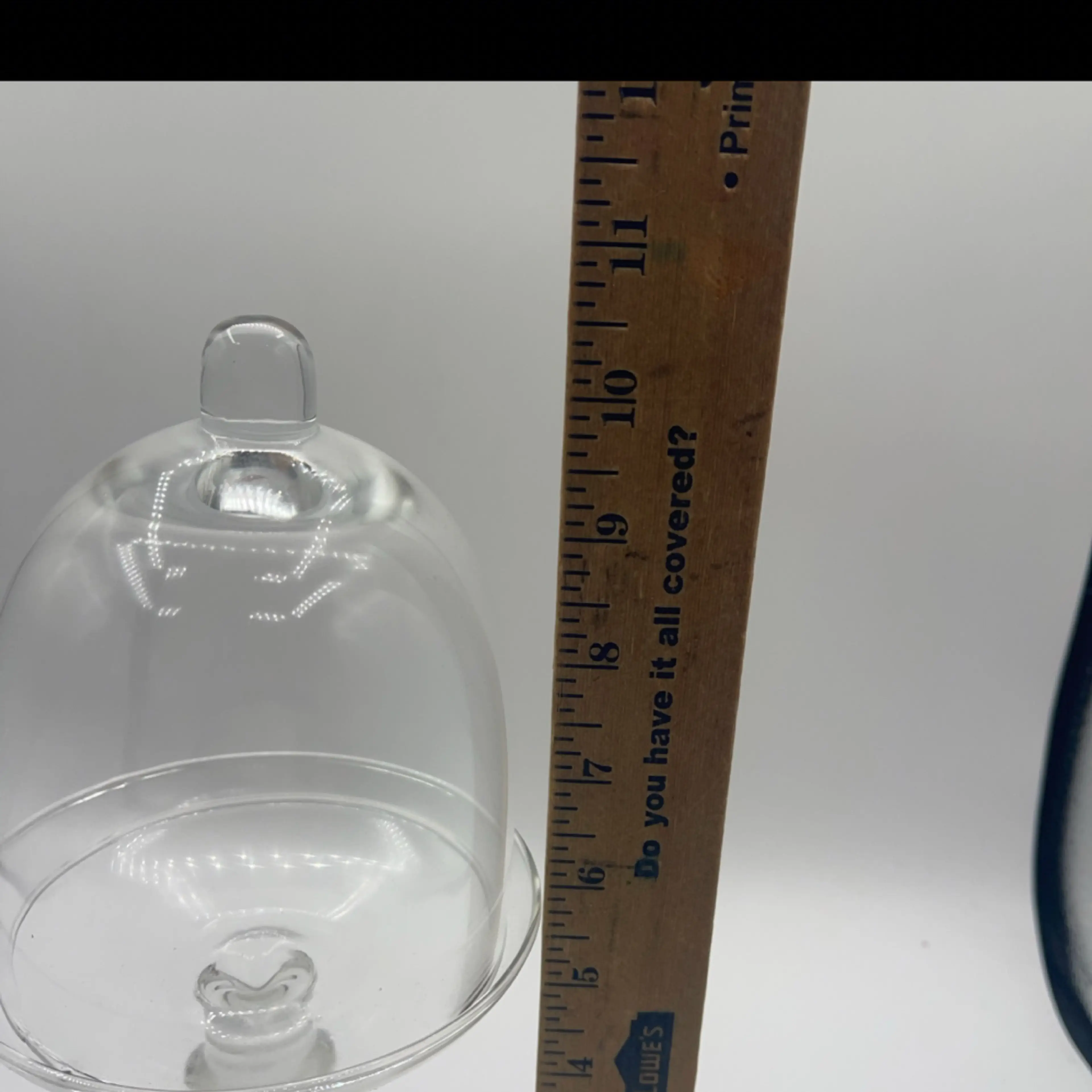 Image 5 of 5