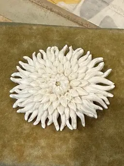 Celluloid Brooch - White