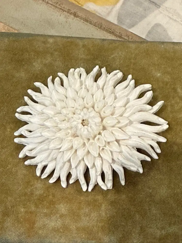 Celluloid Brooch - White