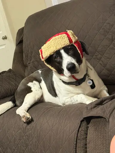 Pop Up With MacK & Mom (Randi)