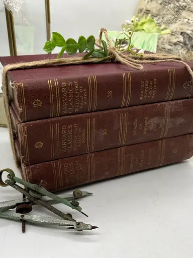 Goodwill Bins Haul Round 2!