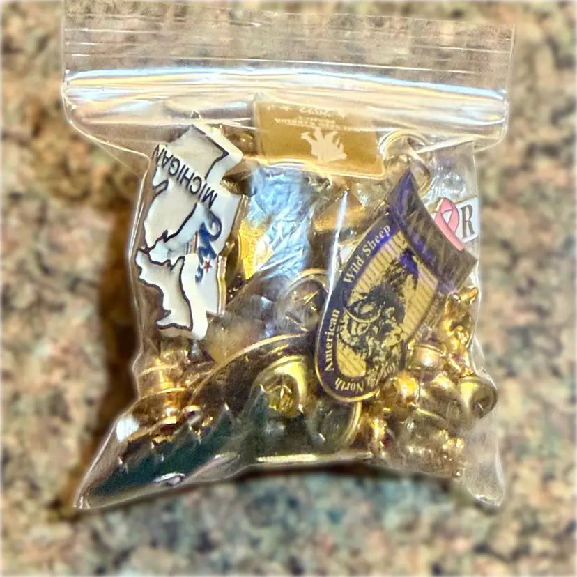 Lot #7 Lapel Pin Chaos