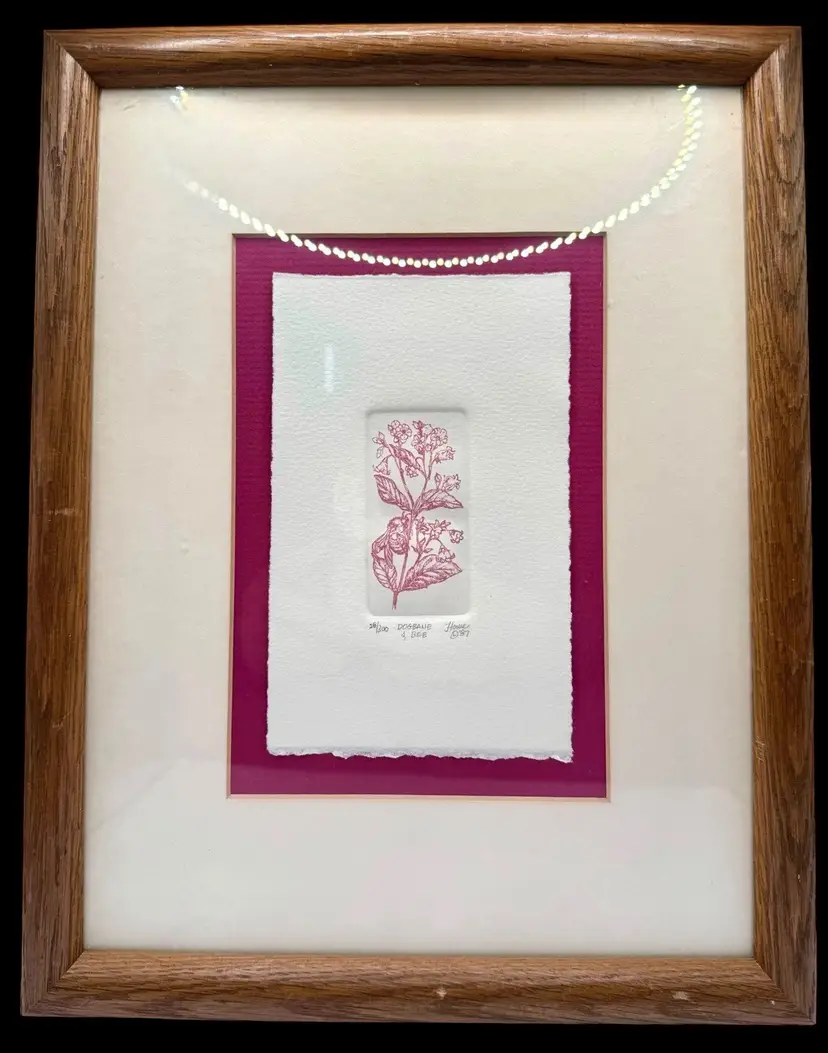 Signed Marsha K Howe Framed Art Etching Print Floral Dogbane & Bee 1987 13x10β
