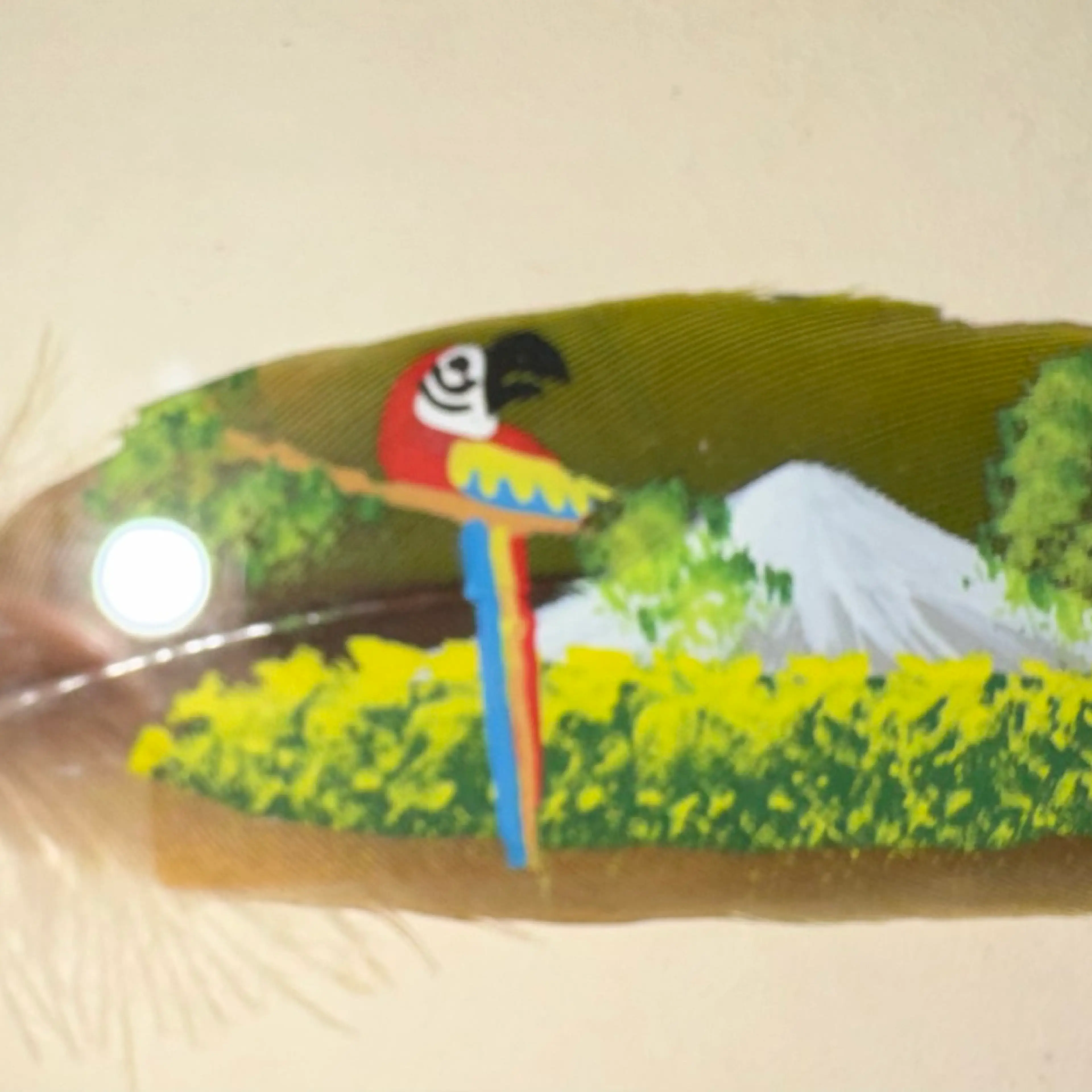 Image 3 of 5