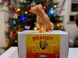 Brandy Candle - Hero Dog from ONCE UPON A TIME IN HOLLYWOOD