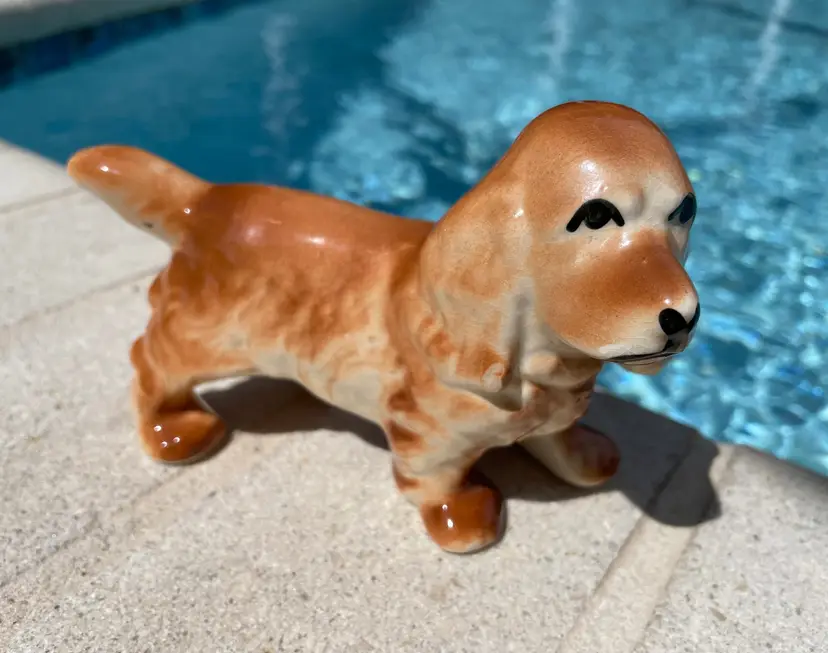 Cute Handpainted Spaniel Dog