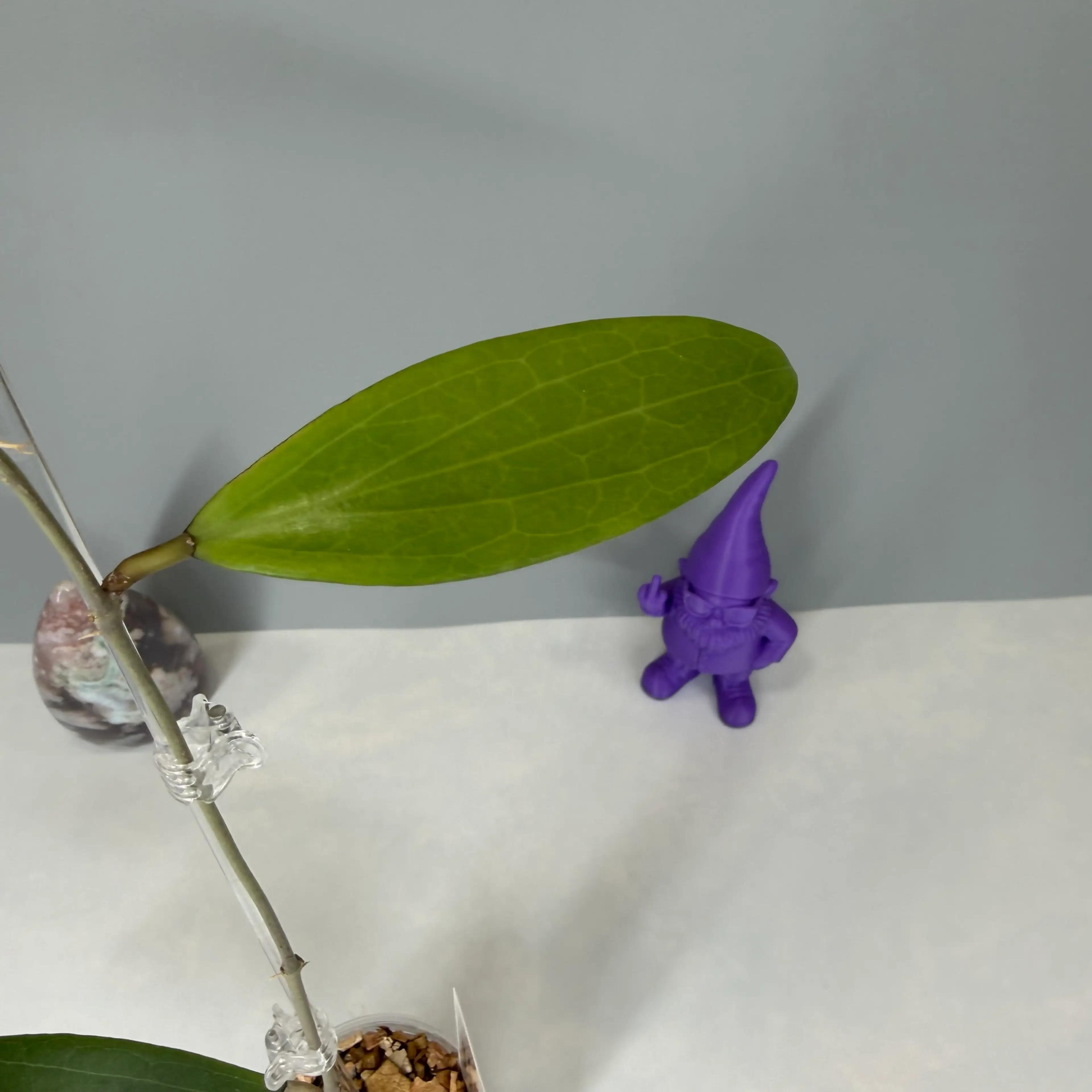 Image 3 of 3