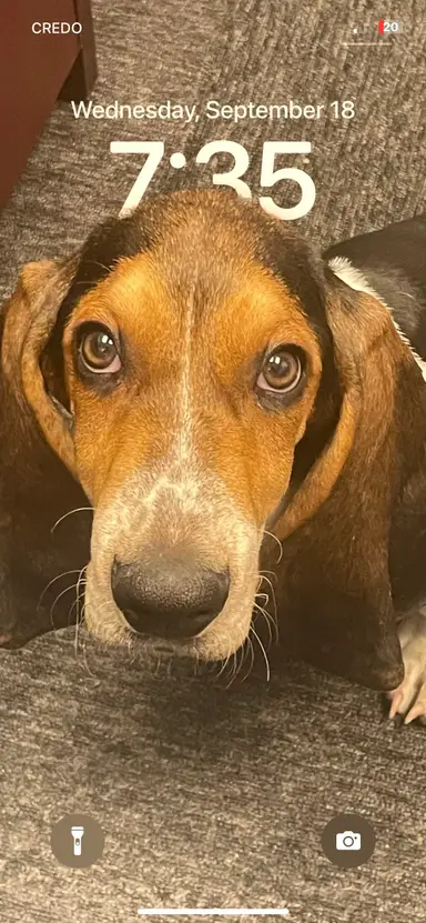 Jen’s Vintage Glass & Treasures