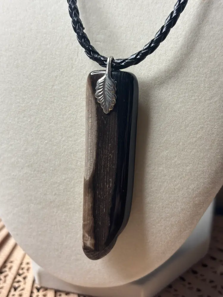 Polished Petrified Wood Pendant