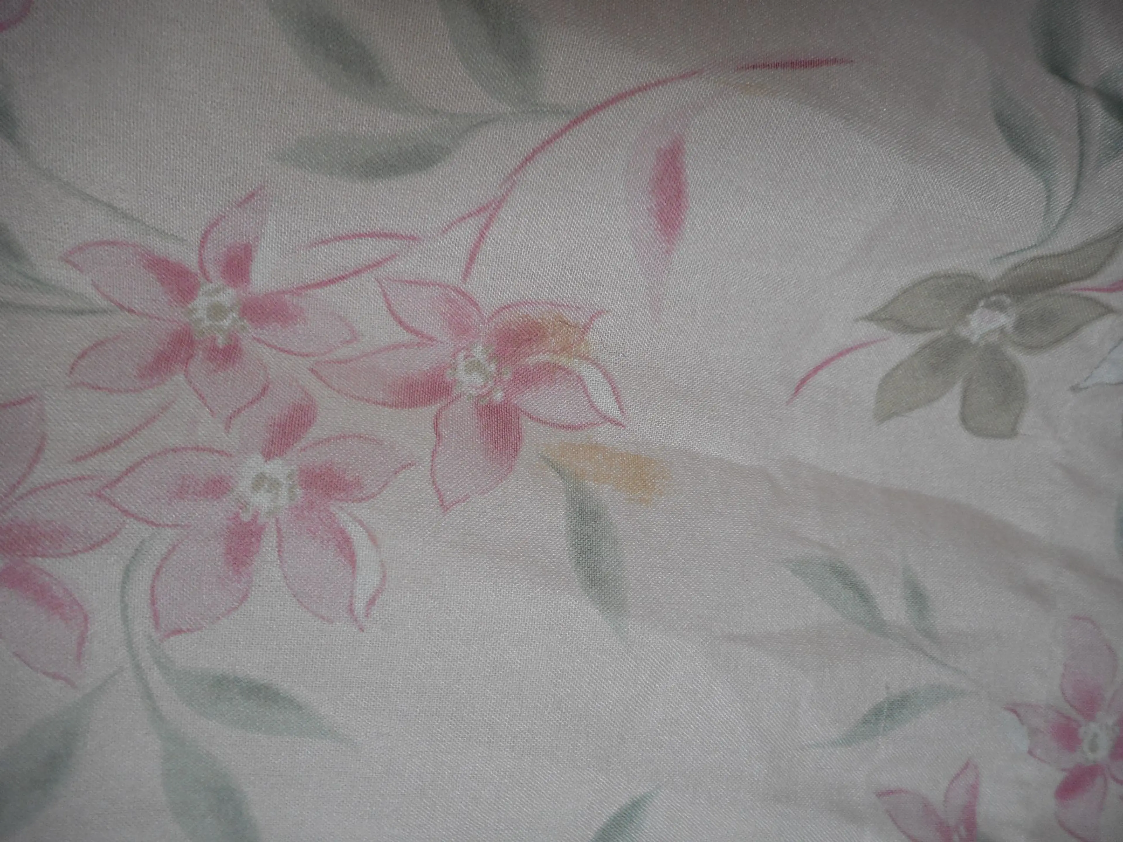 Image 4 of 6