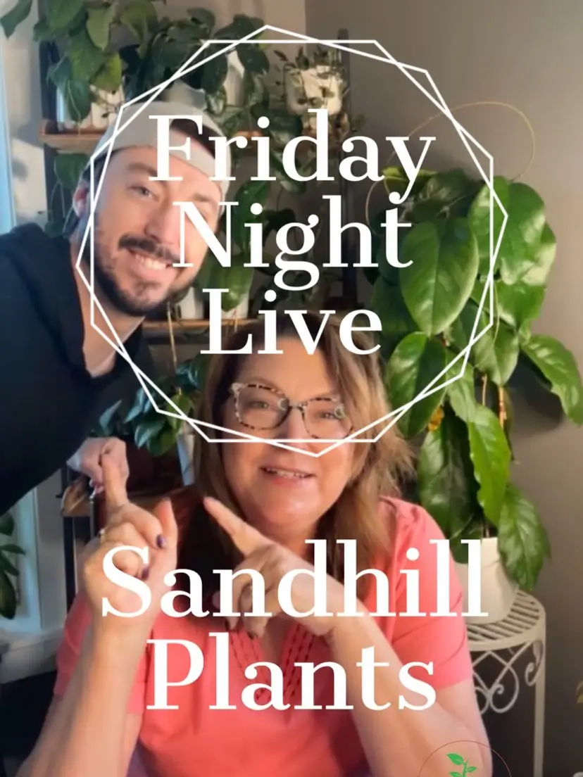 Livestream thumbnail