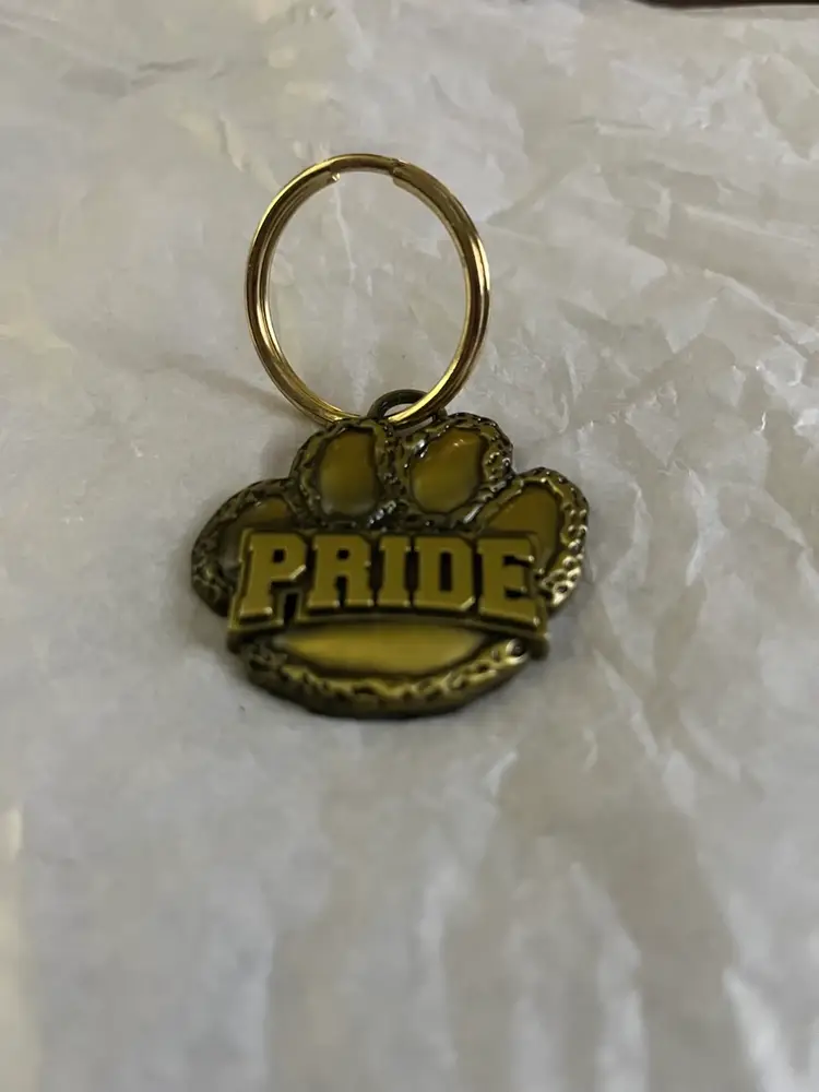 Paw Pride Keychain