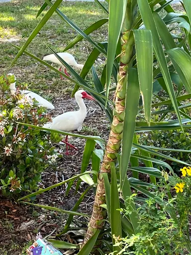 Sell Or Donate Pop Up 