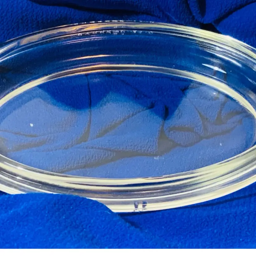 Pyrex  14  #32 Clear Glass Baking Dish