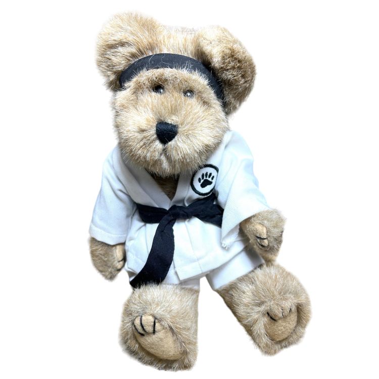 Boyd Bear In Cute Blackbelt Karate 🥋 Outfit. 10-1/2” tall.