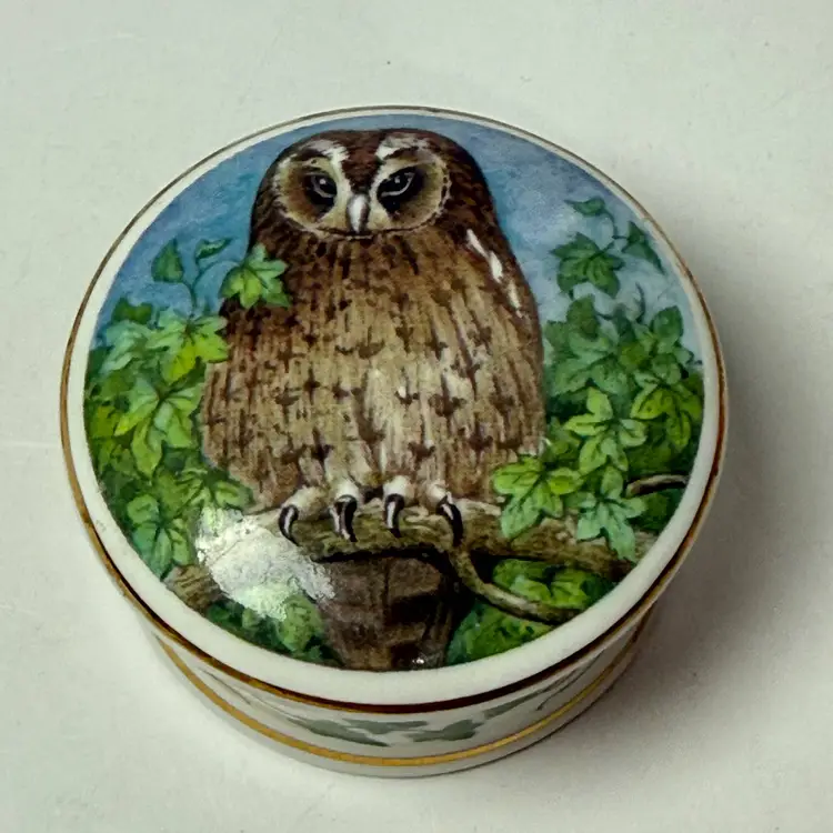 Fine Bone China Owl & Ivy Trinket Box Objets D'Art Made in England