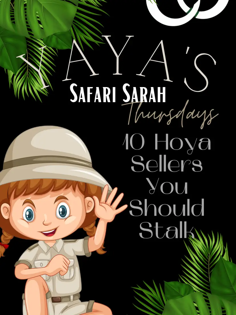 Livestream thumbnail