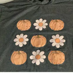 Flour And Pumpkin T-Shirt Size Small