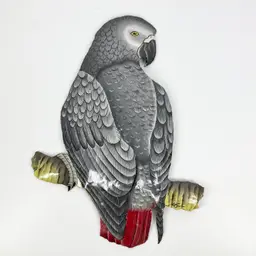African Grey Parrot Hand Painted Metal Wall Plaque Artist Signed 11in x 8.25in