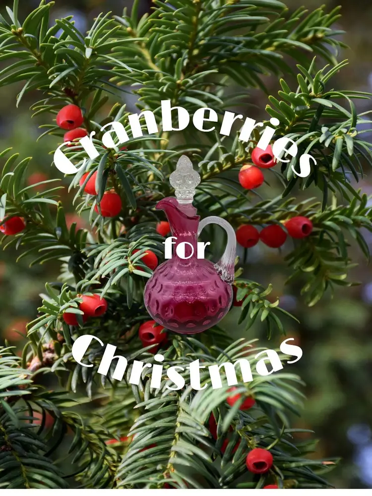 All Kinds Of Cranberry Glass For Sale