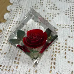 Vintage Bircraft Lucite Red Rose Cube Paperweight Acrylic Huntington Indiana