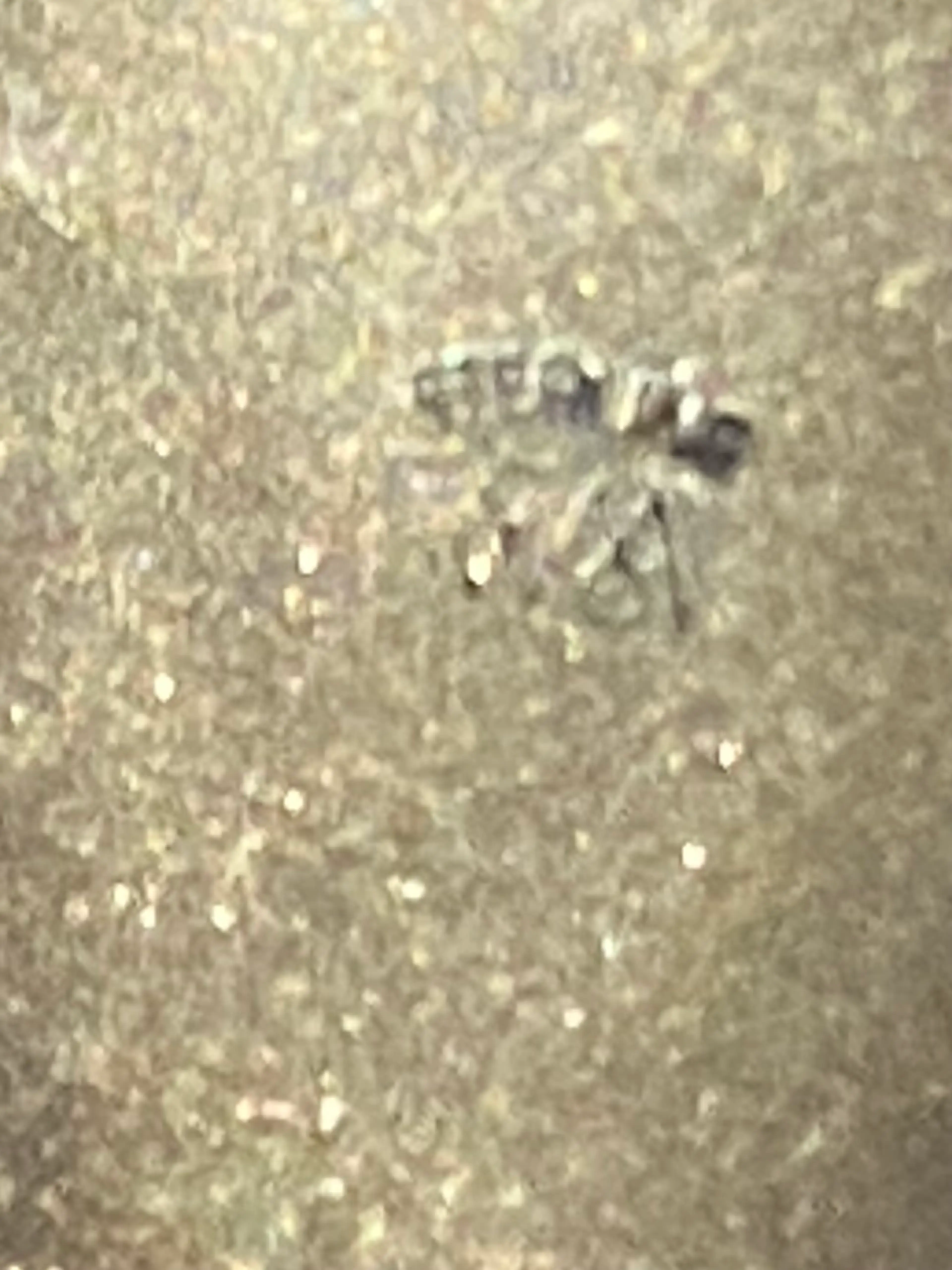 Image 4 of 4
