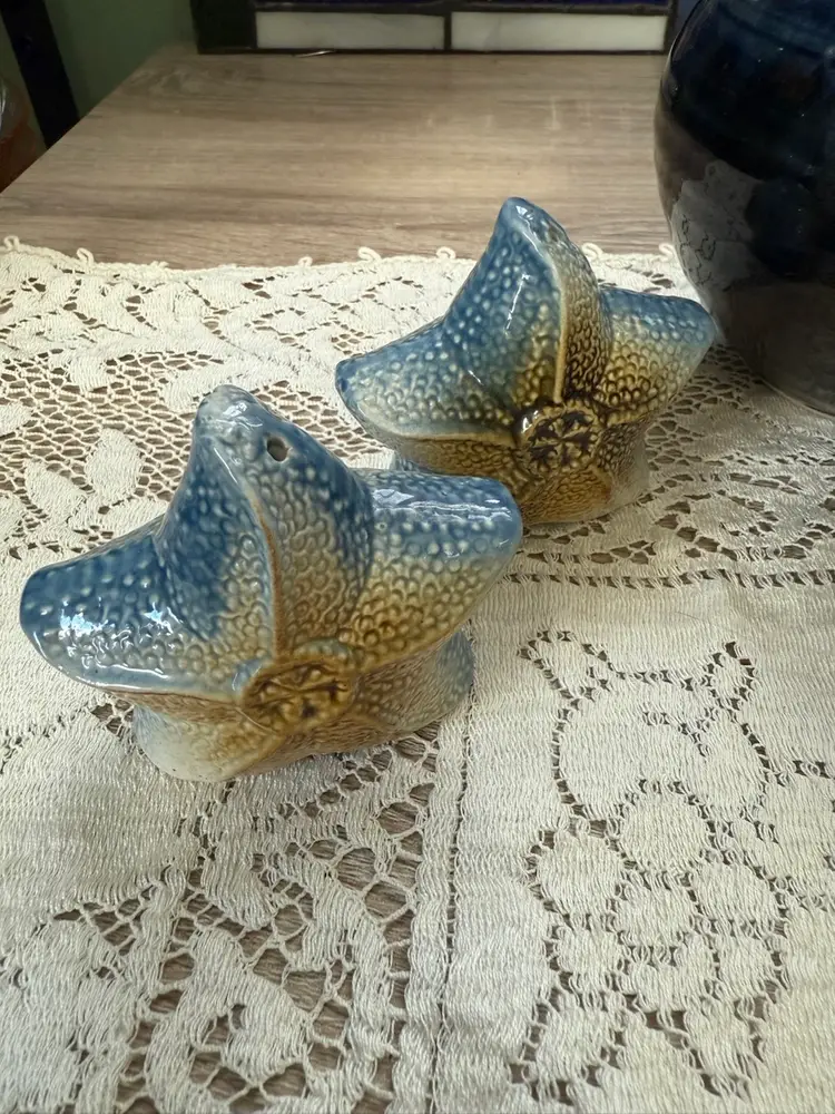 Sealife Vignette Salt Pepper Shaker Trinket Box Artisan Pottery Vase