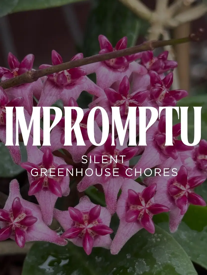 Livestream thumbnail