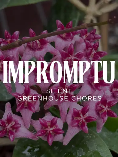 Come Quietly Hang Out With Me In The GH