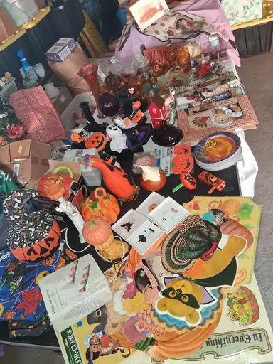 Halloween 🎃 and Harvest 🎑 Show!