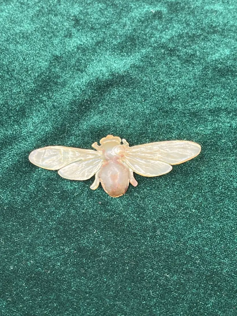 c.1900 French Art Nouveau Antique Horn Bee Bug Brooch