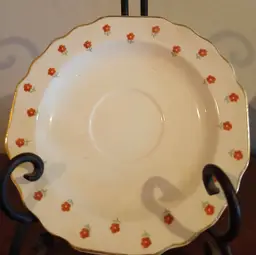 1-12d Vintage W.S. George Blushing Rose Dalrymple saucer