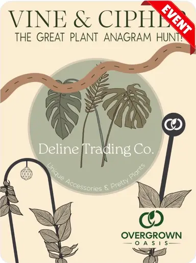 NEW Stuff 🌱 Join the Trail!