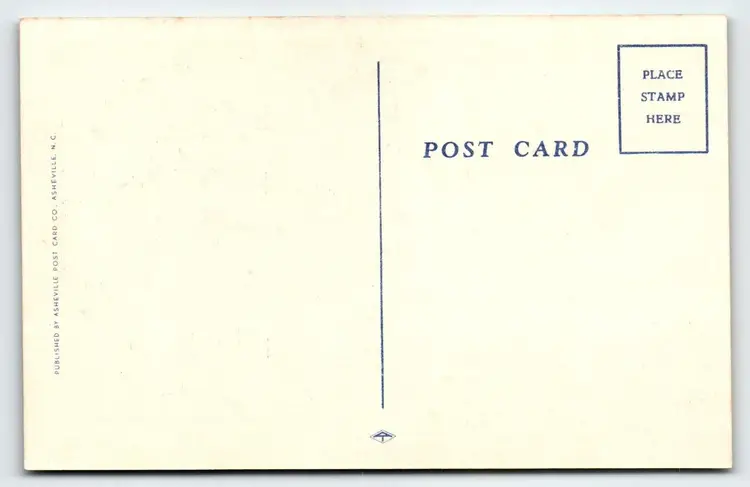 Women Fishing Drop You A Line Sexy Linen Postcard Comical Humor Unposted Vintage