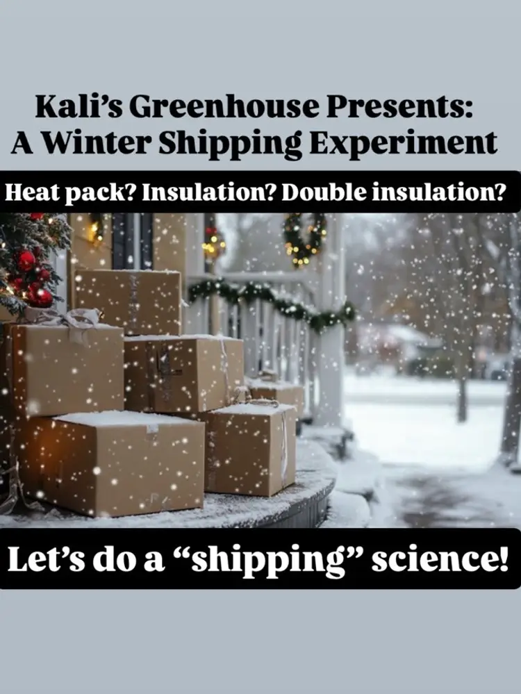 Winter “Shipping” Experiment